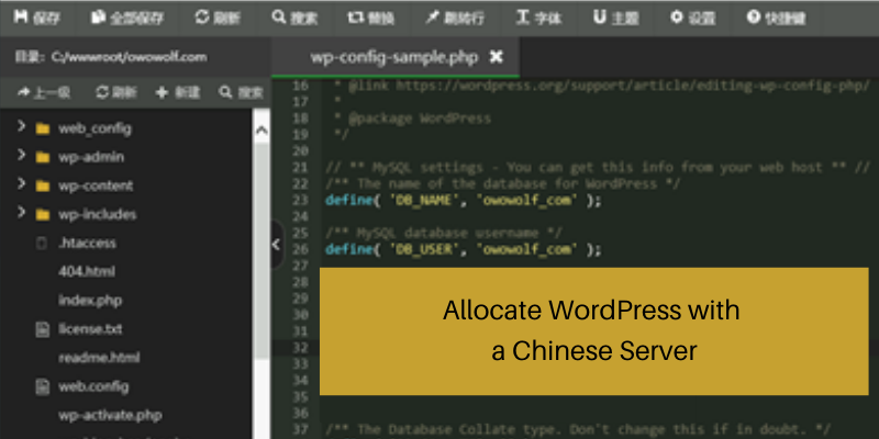 How to Build a Chinese Website: The Complete Guide 4 How to use WordPress in China