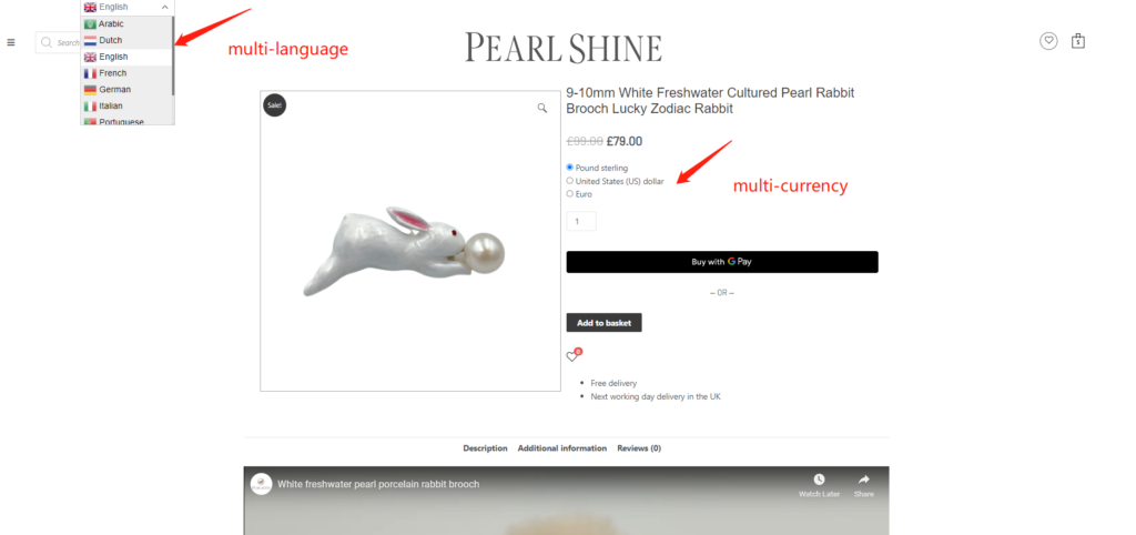 website multi-lanuage and multi-currency example