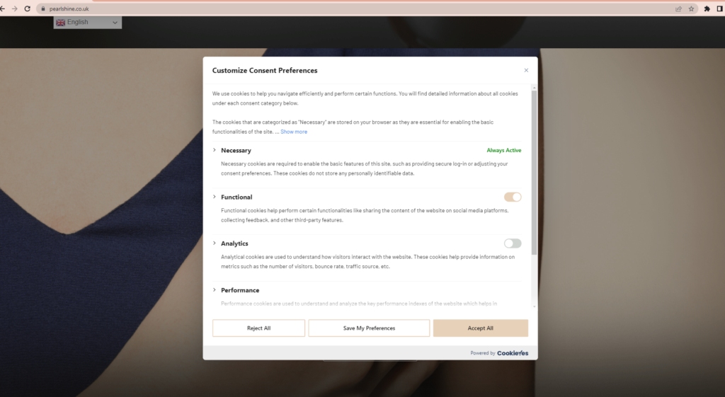 独立站SEO 5 Our website design set with privacy policy popup choice