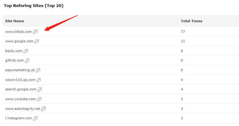More than a Website 1 Traffic leading by social