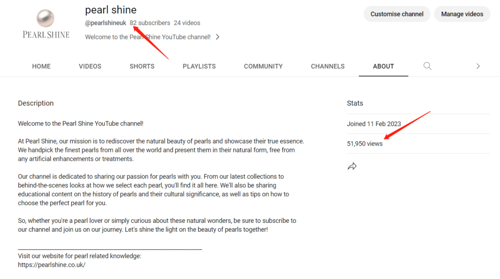 More than a Website 2 YouTube Traffic for the website
